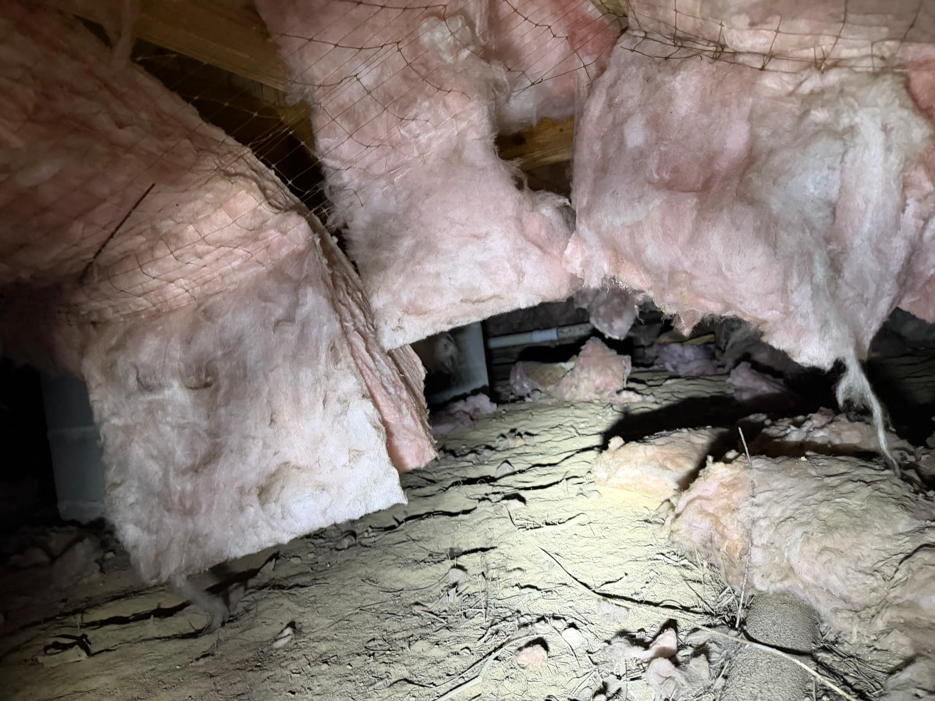 Gallery photos for Crawl Space Encapsulation Done Right in Pensacola: Image #1
