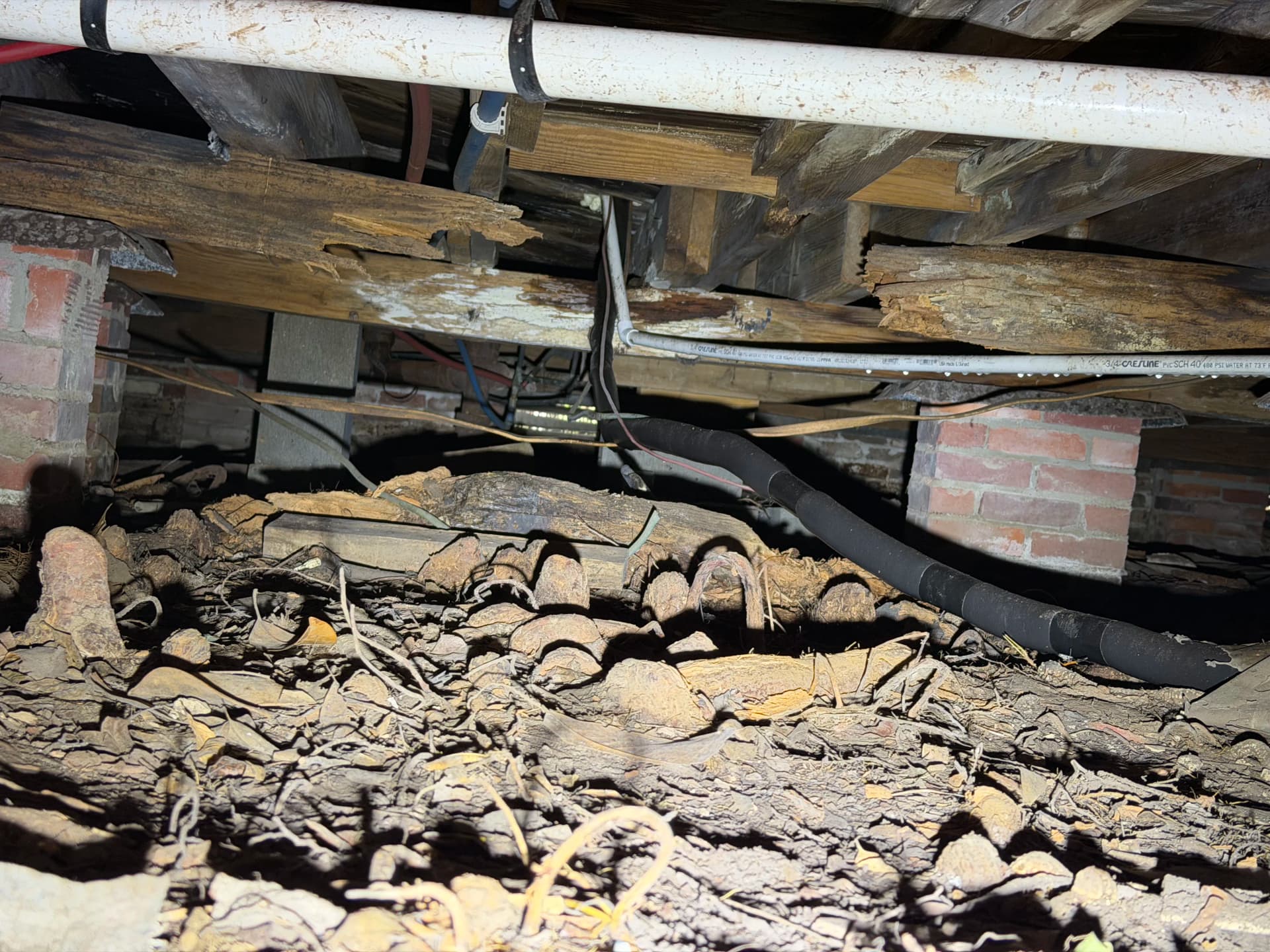 Gallery photos for What Gulf Coast Crawl Space Assessments Actually Reveal: Image #3