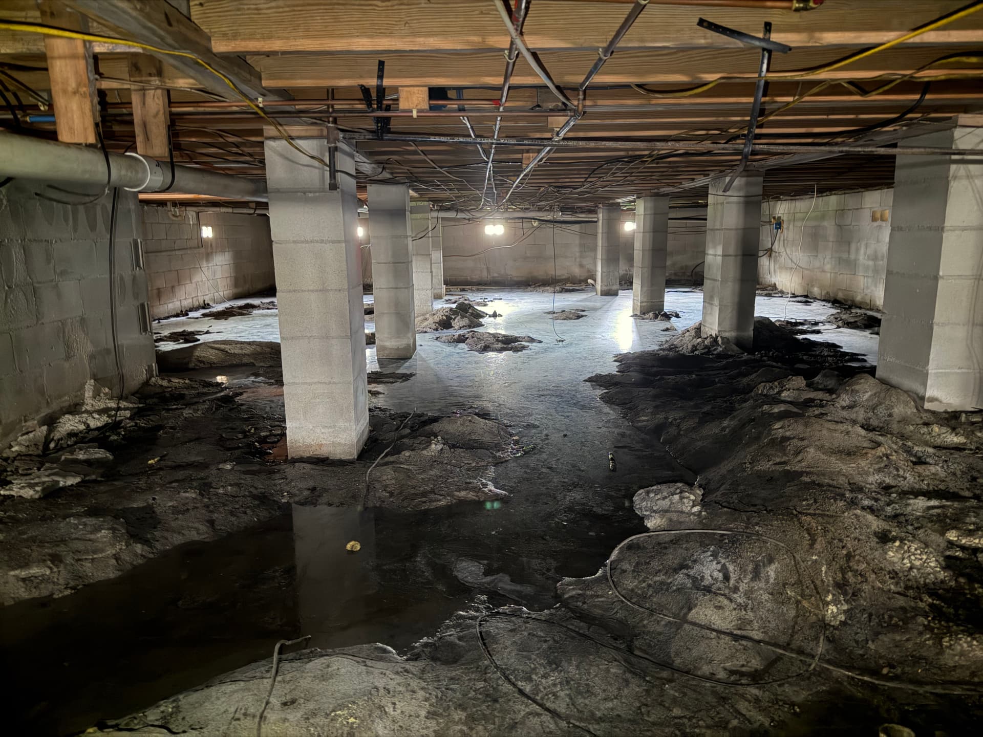 Standing Water in a Crawlspace - Here's What We Found in Panama City image