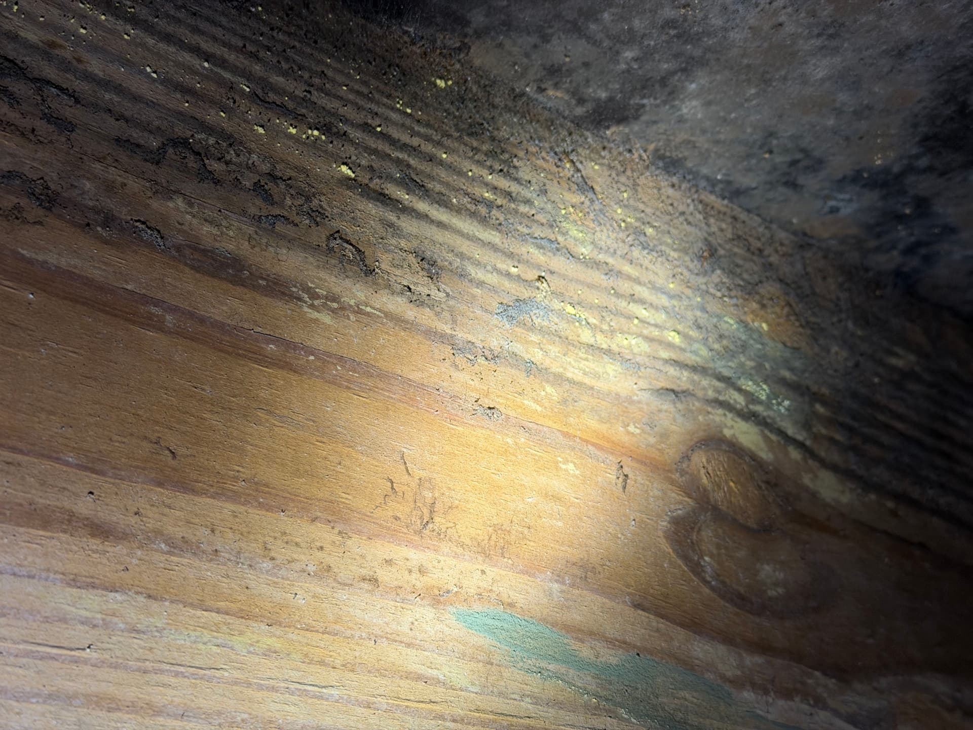 Gallery photos for Fighting Crawl Space Fungus in the Gulf Coast: Image #4