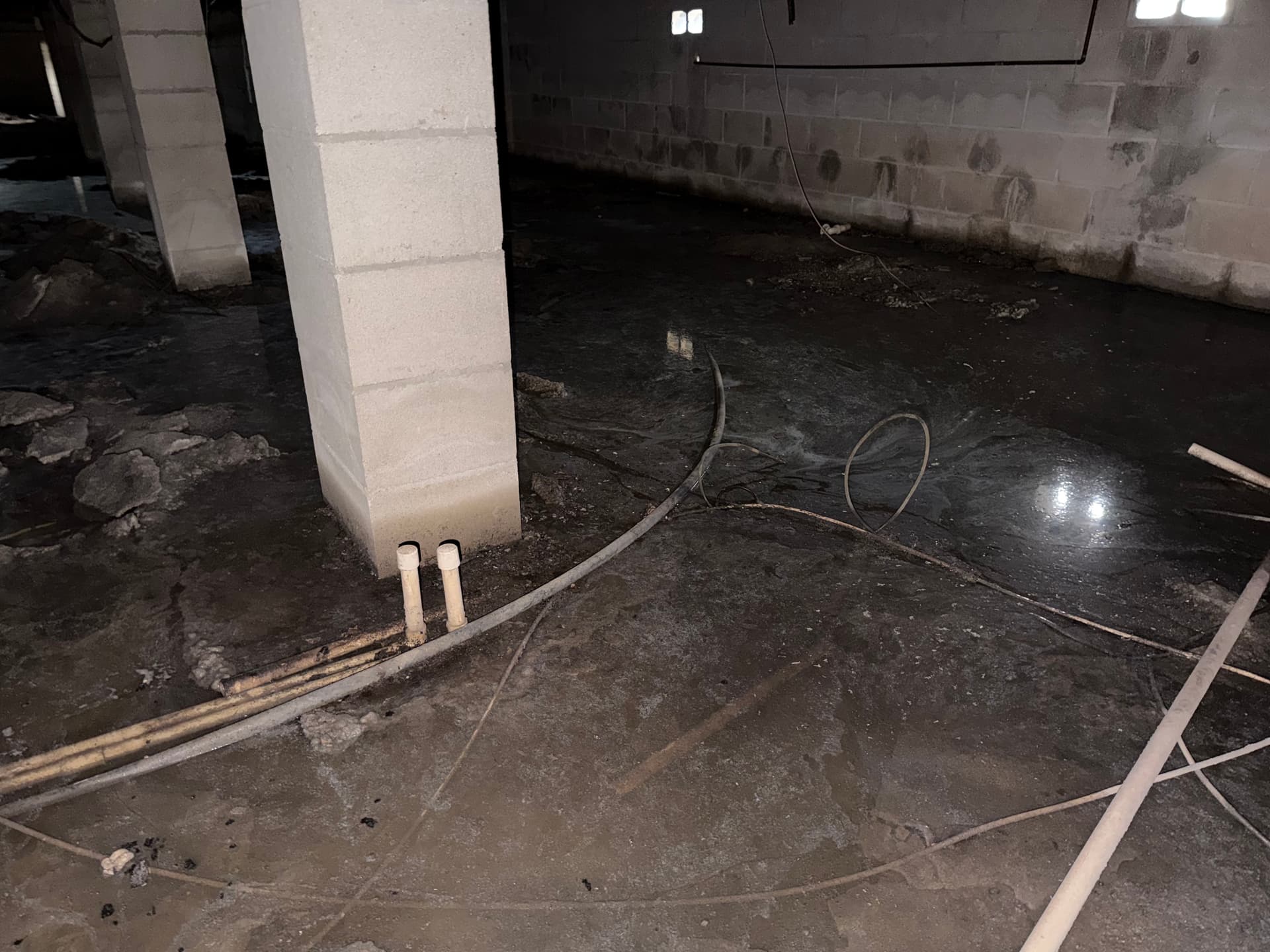 Gallery photos for Standing Water in a Crawlspace - Here's What We Found in Panama City: Image #6
