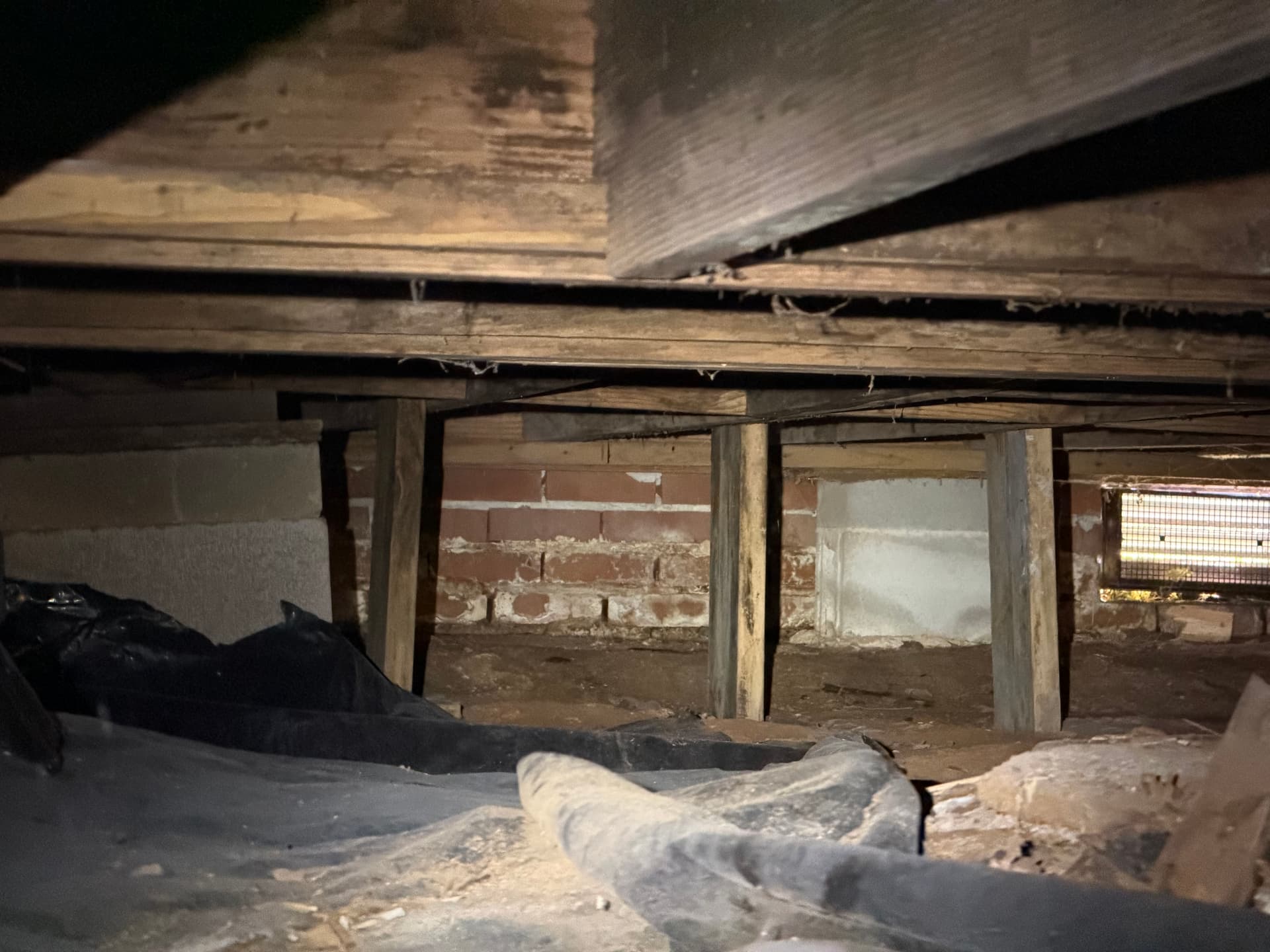 Gallery photos for Fighting Crawl Space Fungus in the Gulf Coast: Image #9
