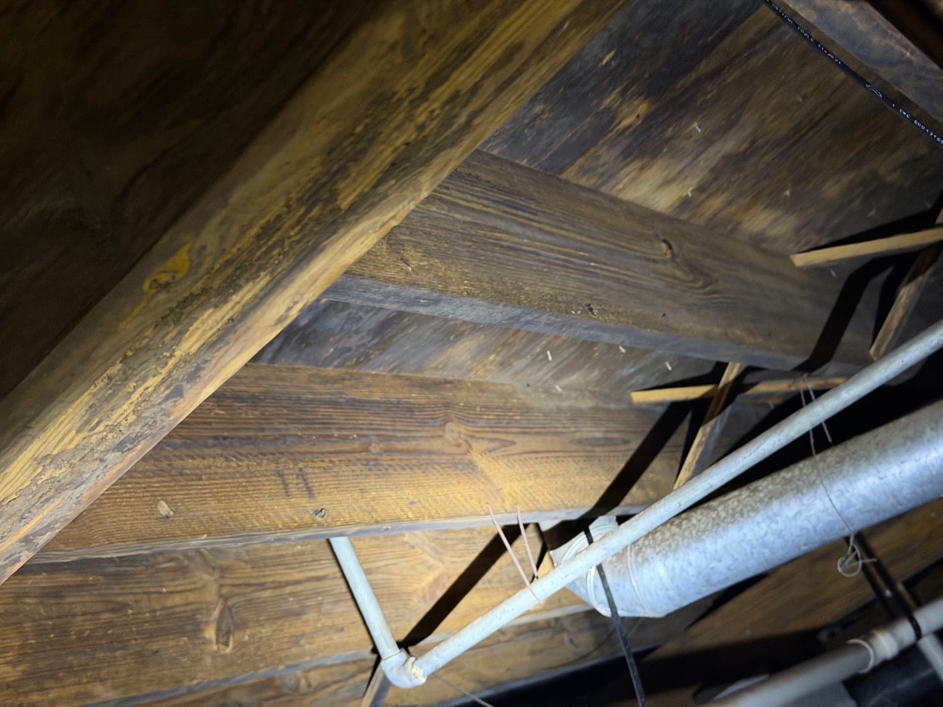 Gallery photos for 1,400 Miles of Crawlspace Assessments Across the Gulf Coast: Image #3