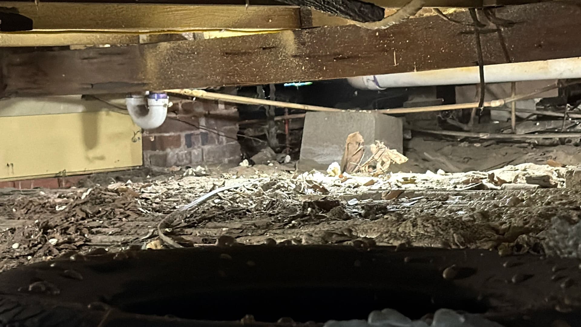 Gallery photos for Crawl Space Encapsulation Done Right in Pensacola: Image #3