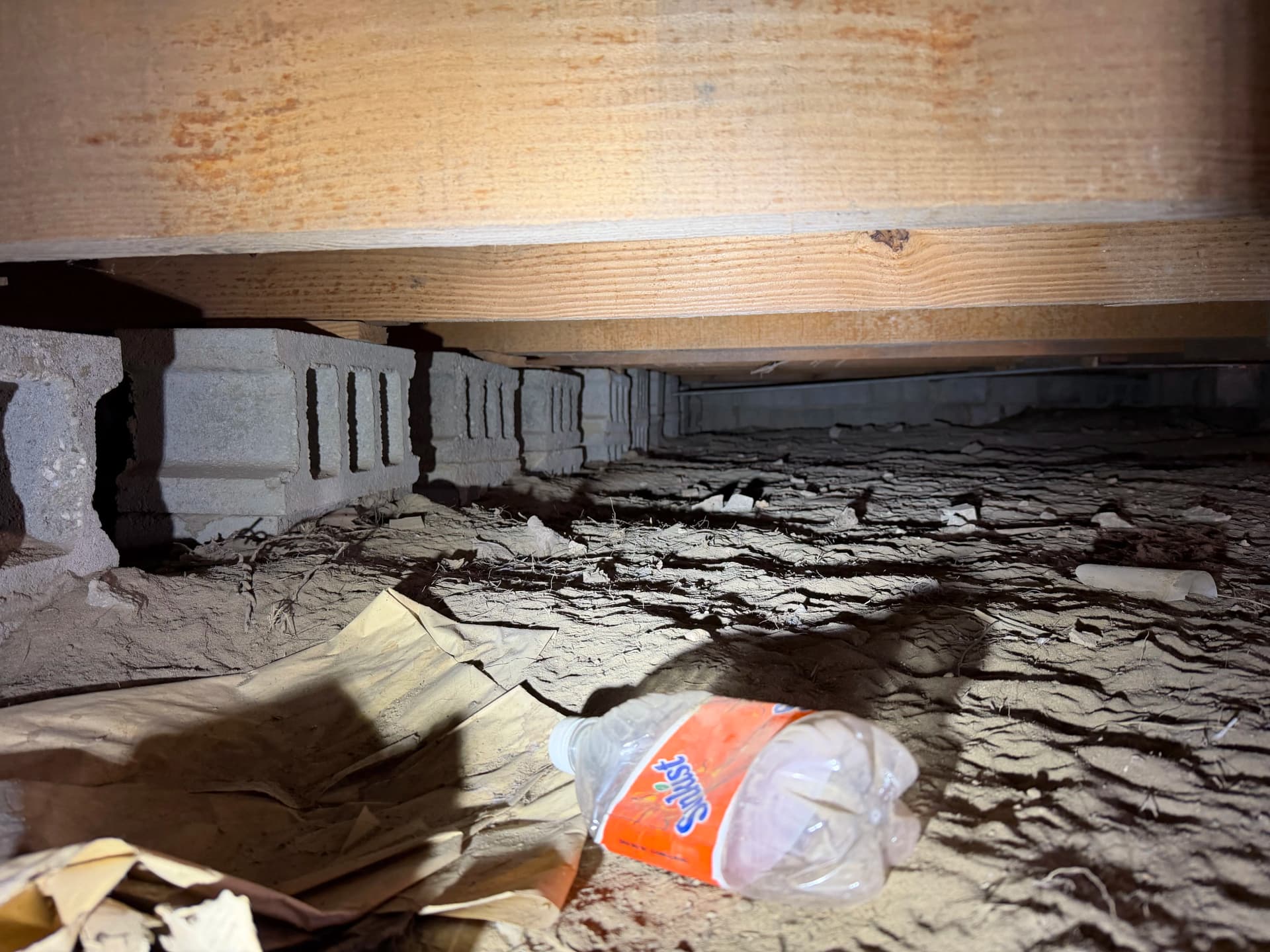 What Gulf Coast Crawl Space Assessments Actually Reveal image