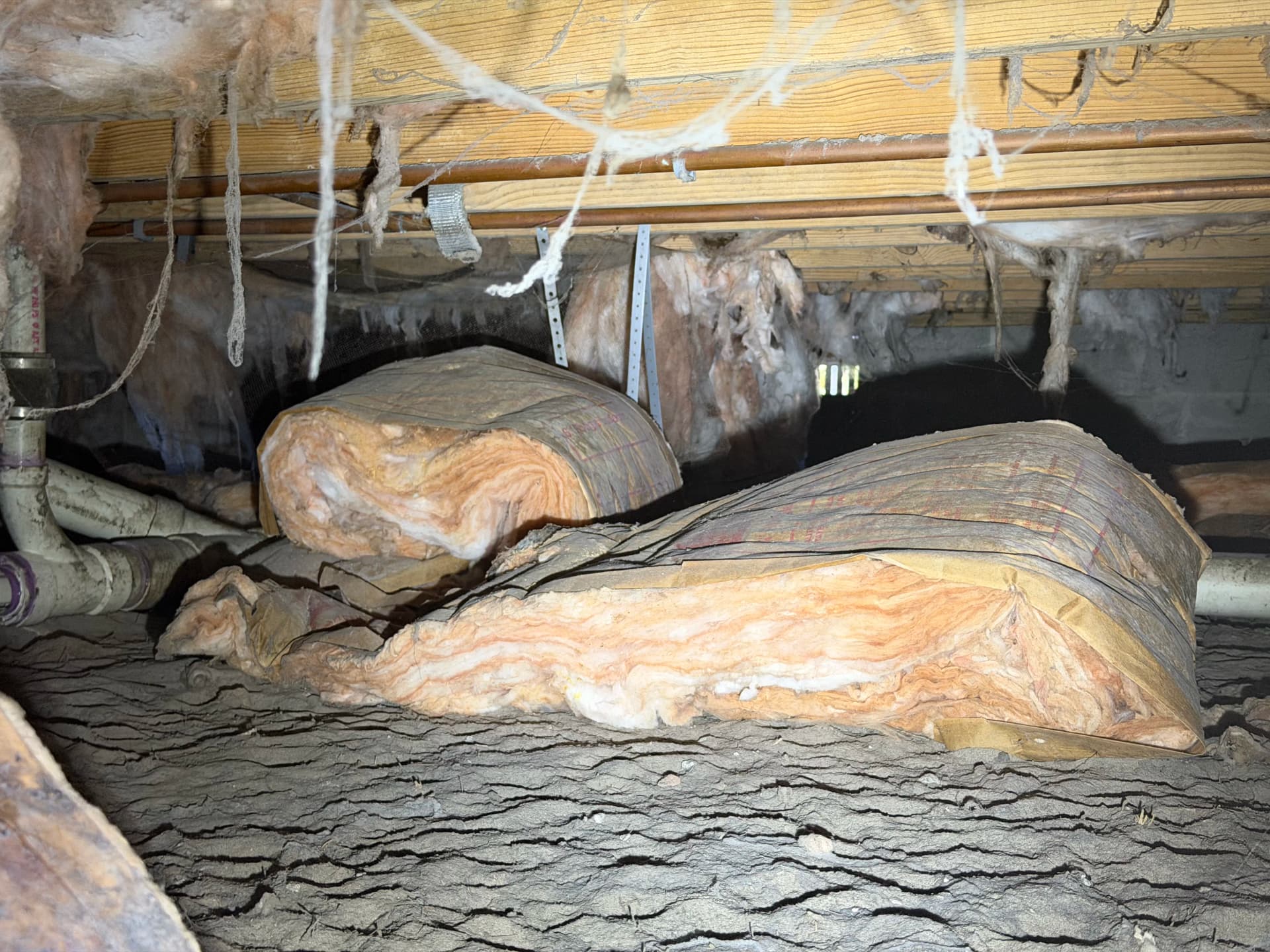 Gallery photos for Crawl Space Encapsulation Done Right in Perdido Florida: Image #8