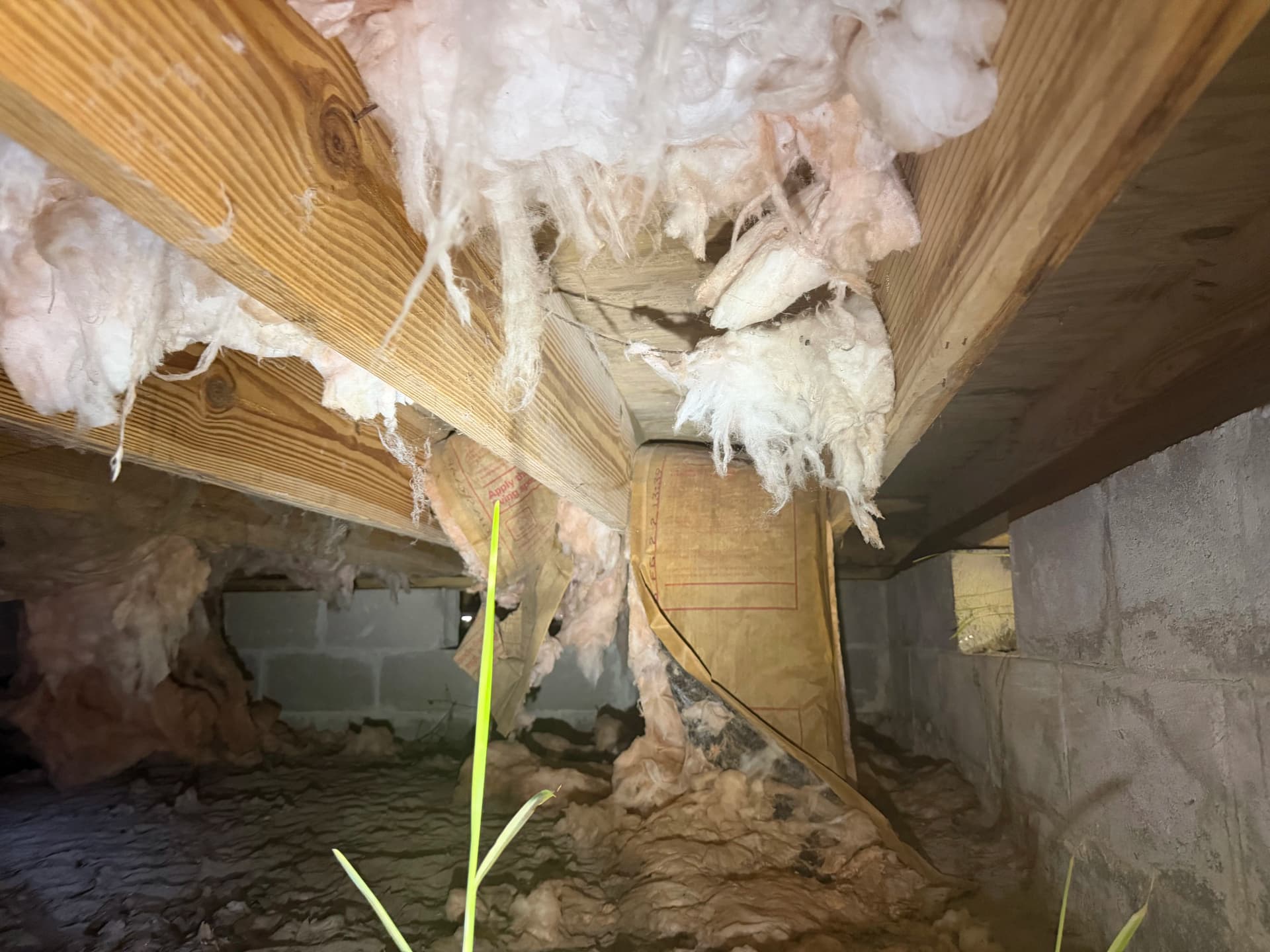 Gallery photos for Crawl Space Encapsulation Done Right in Perdido Florida: Image #7