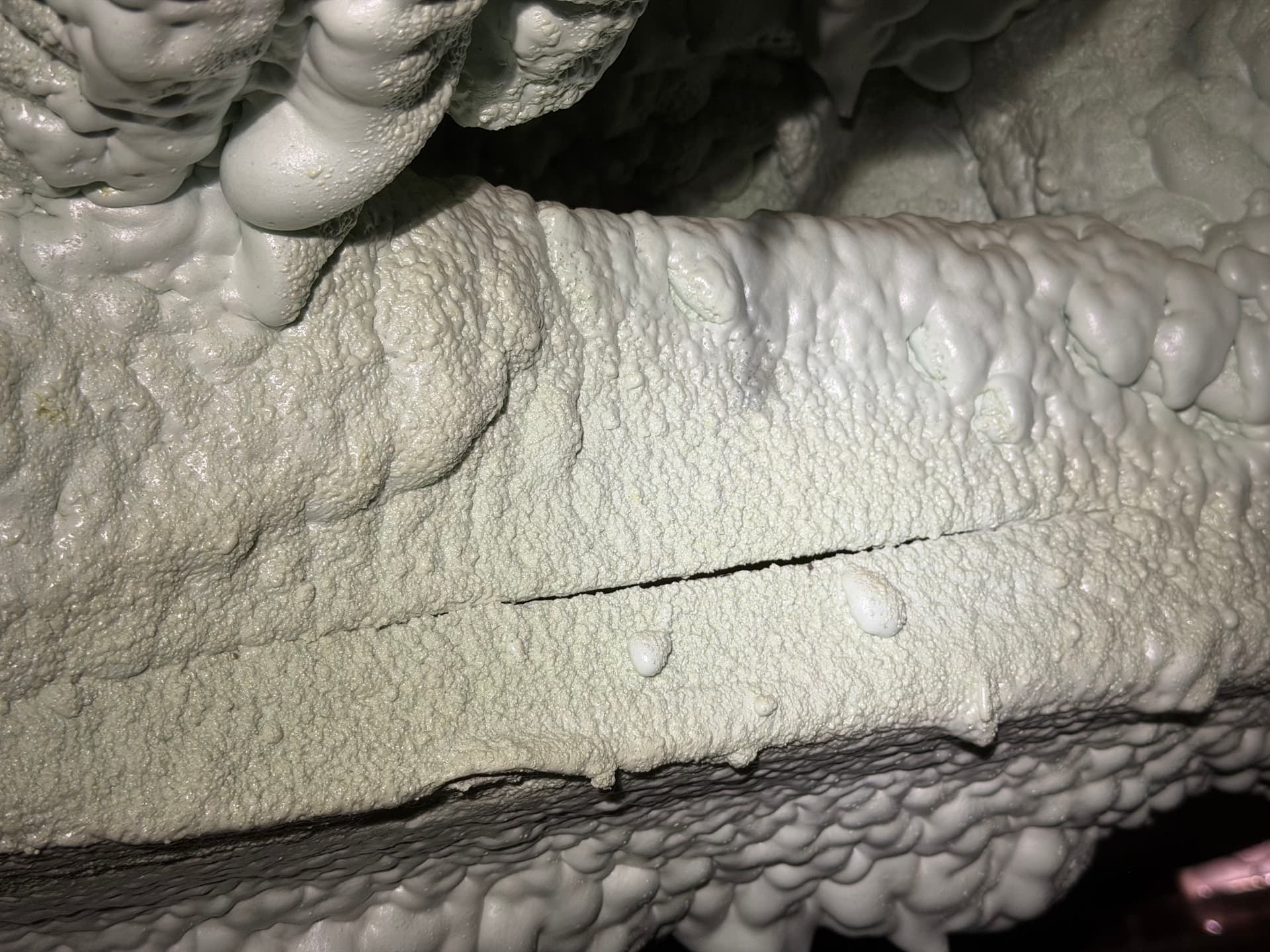 Gallery photos for Why Spray Foam on Your Floor Joists Is a Crawl Space Mistake: Image #4