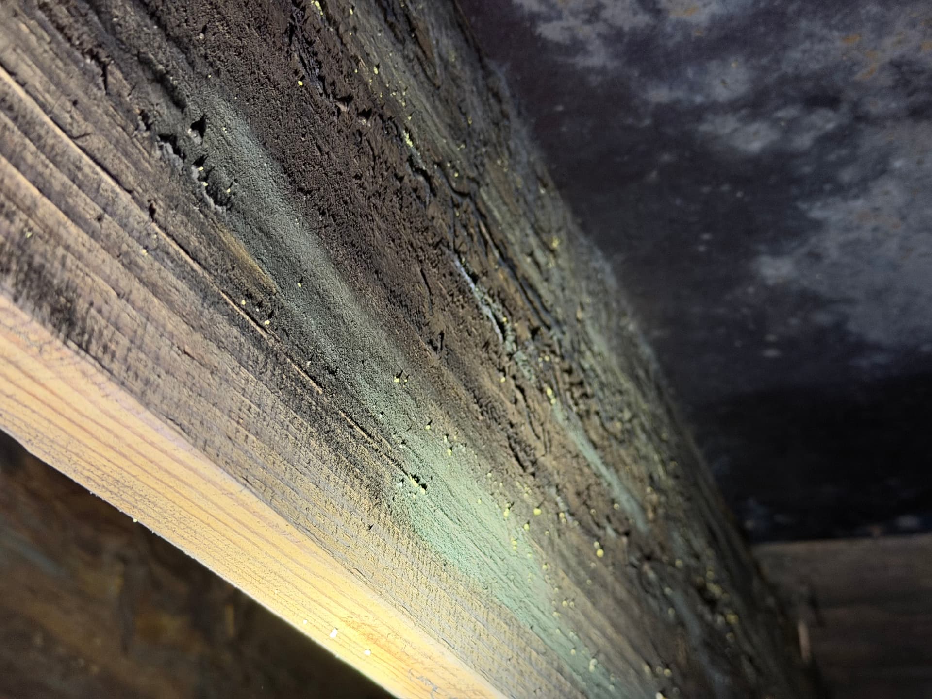 Gallery photos for Fighting Crawl Space Fungus in the Gulf Coast: Image #8