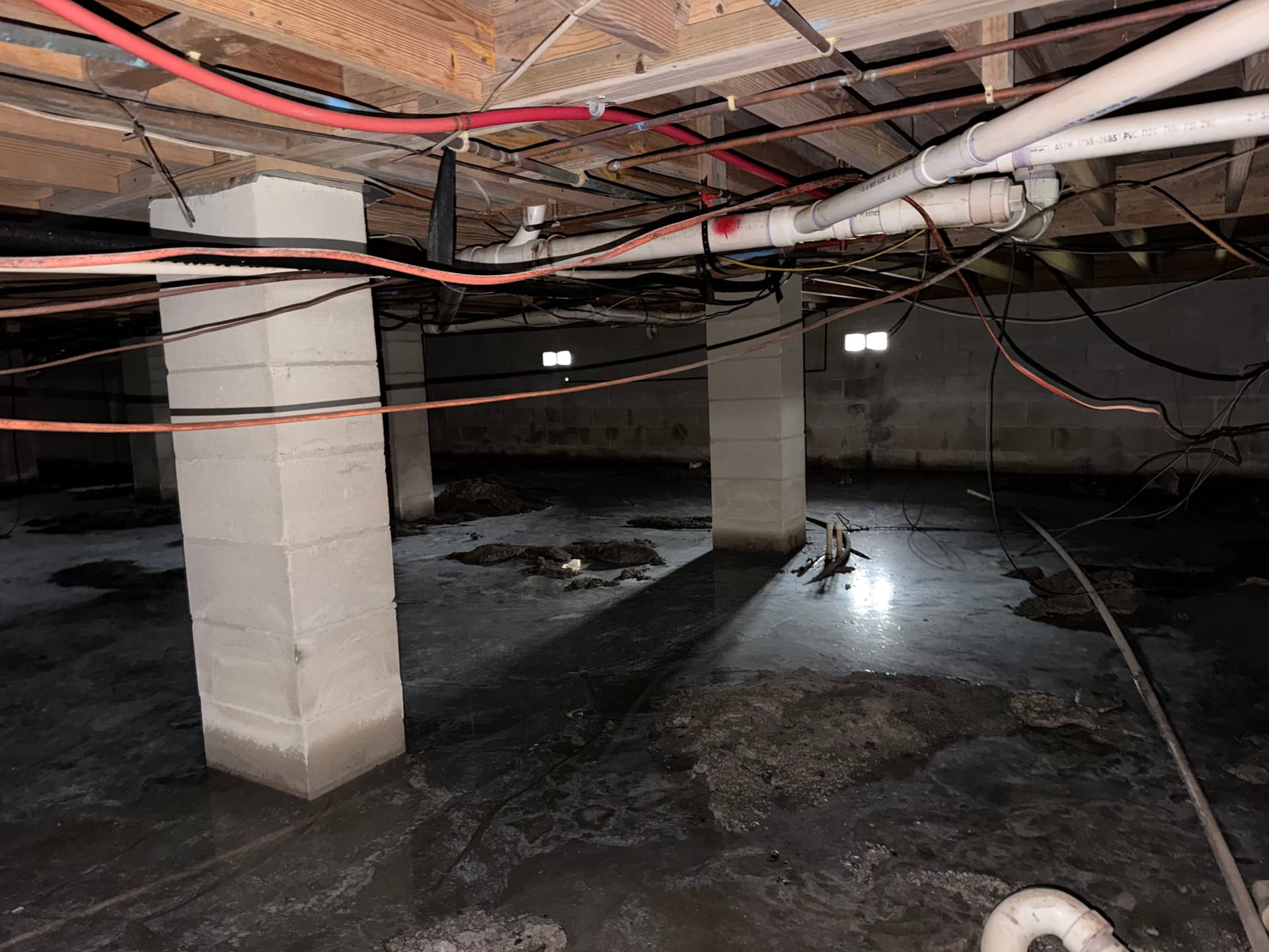 Gallery photos for Standing Water in a Crawlspace - Here's What We Found in Panama City: Image #4
