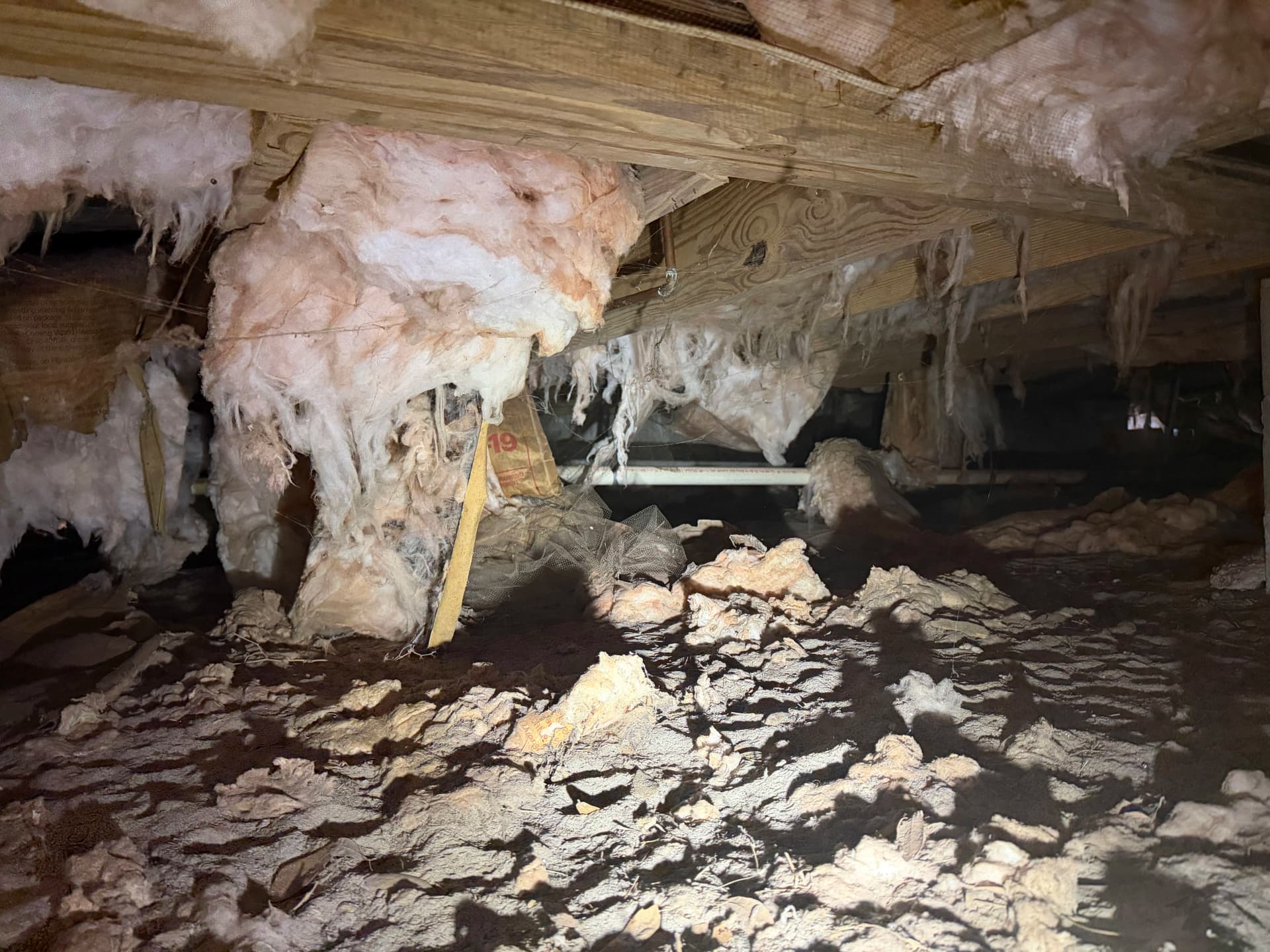 Gallery photos for Crawl Space Encapsulation Done Right in Perdido Florida: Image #5