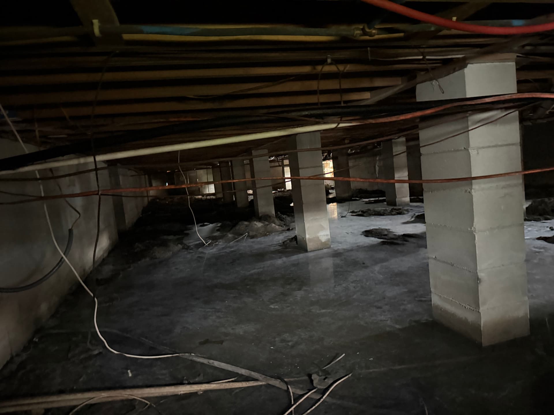 Gallery photos for Standing Water in a Crawlspace - Here's What We Found in Panama City: Image #5