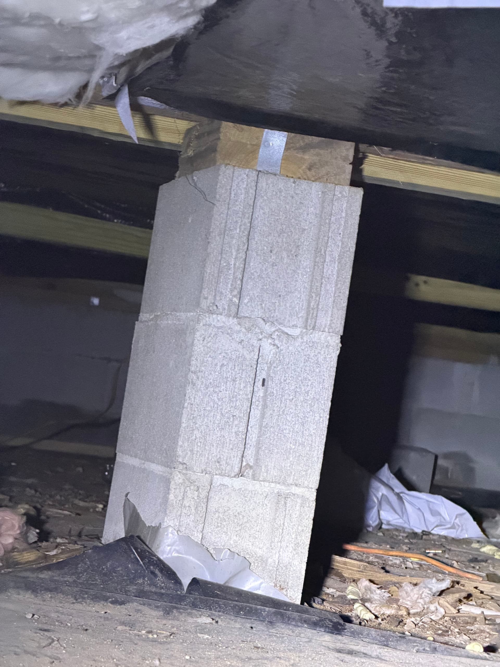 Gallery photos for 1,400 Miles of Crawlspace Assessments Across the Gulf Coast: Image #4