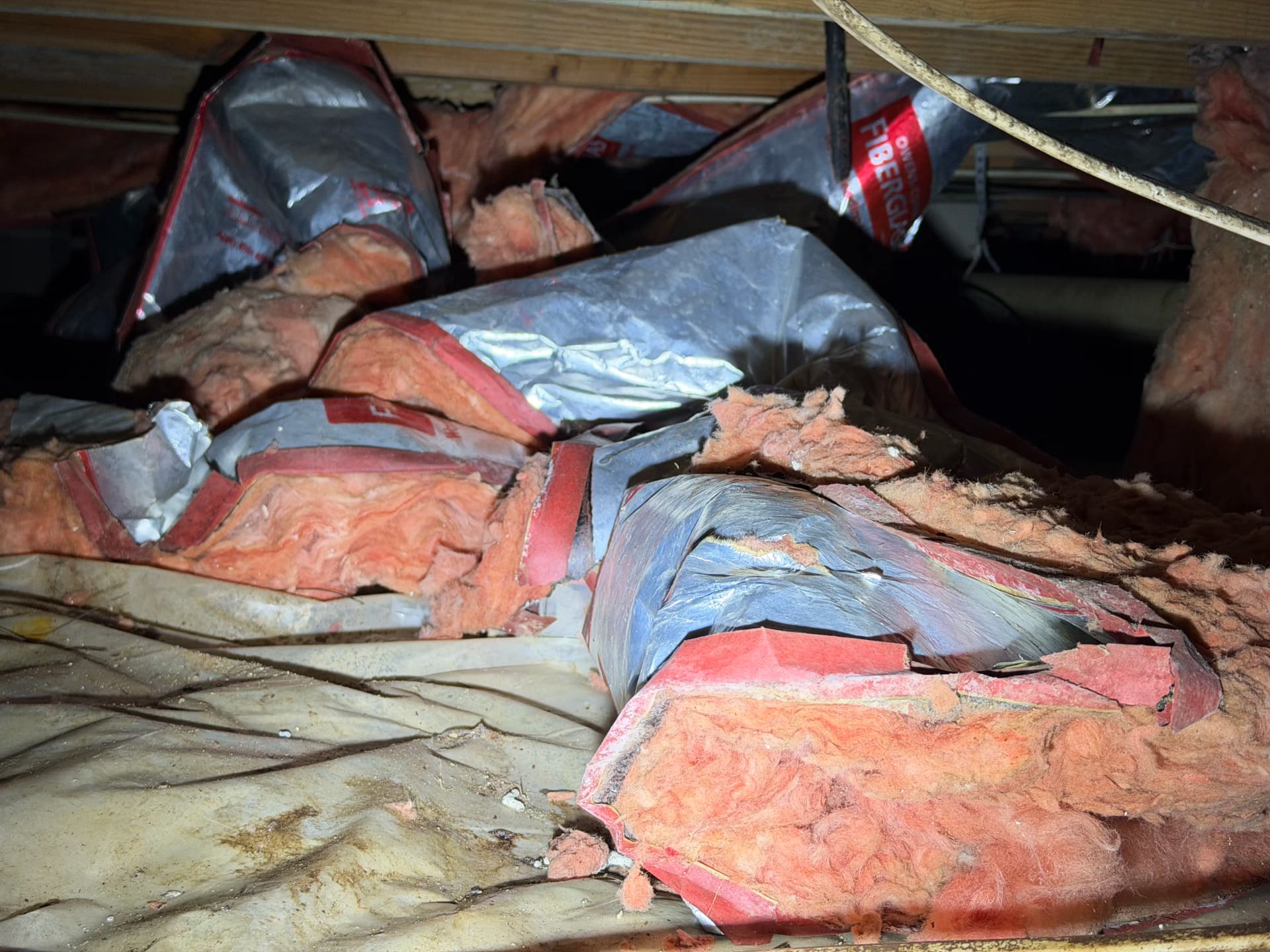 Gallery photos for What Gulf Coast Crawl Space Assessments Actually Reveal: Image #1