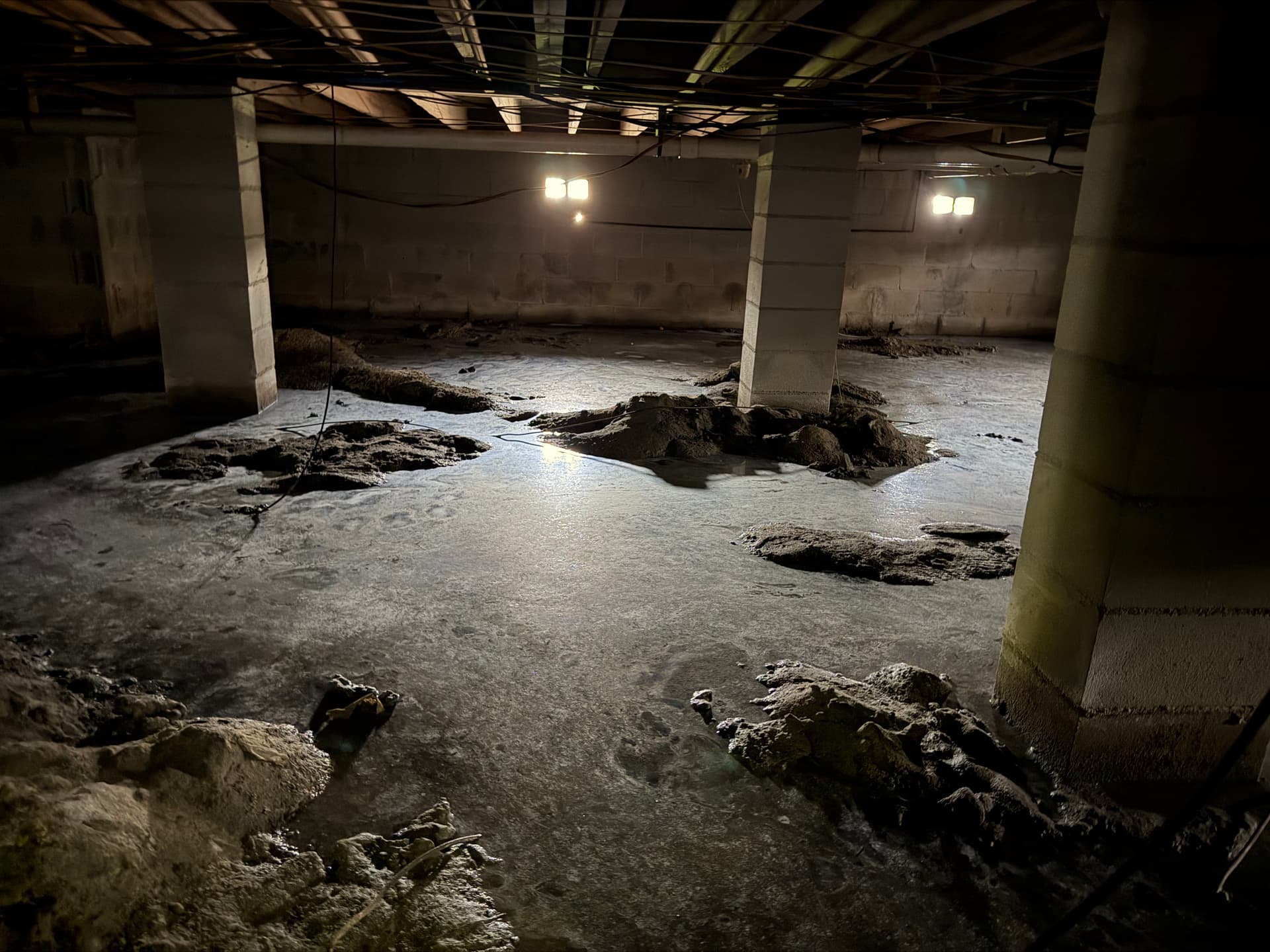 Gallery photos for Standing Water in a Crawlspace - Here's What We Found in Panama City: Image #3