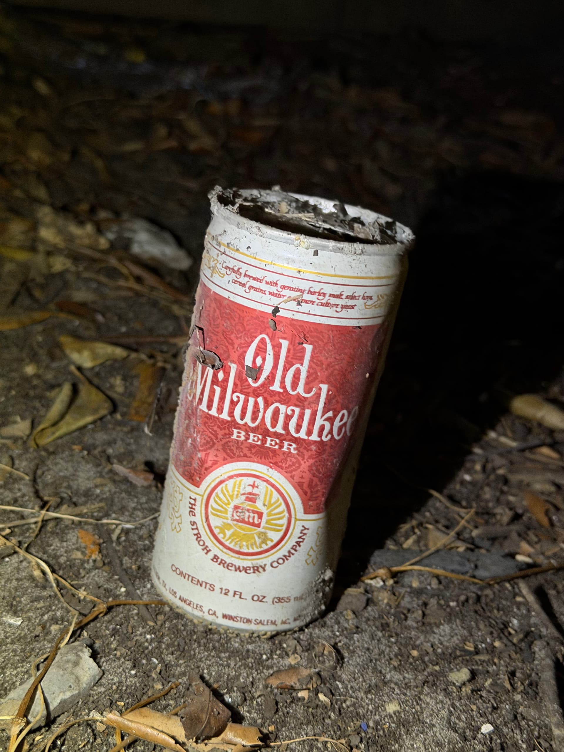 Gallery photos for What We Found Under a Fort Walton Beach Home: Image #4