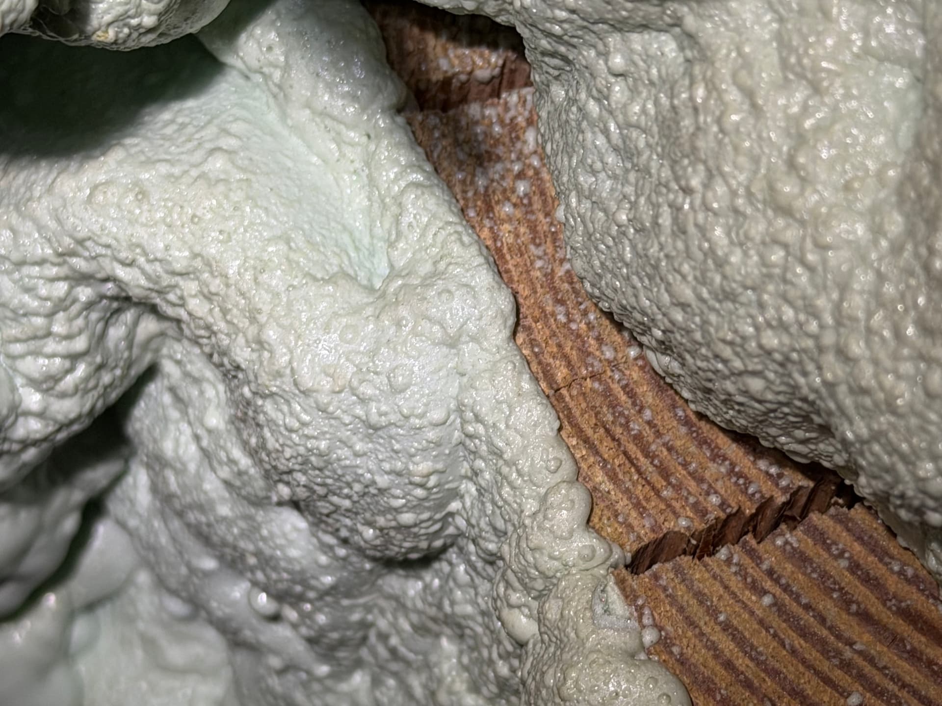 Gallery photos for Why Spray Foam on Your Floor Joists Is a Crawl Space Mistake: Image #3